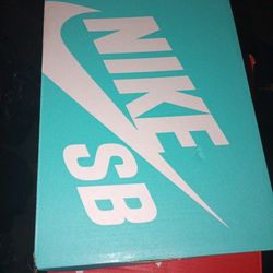 Nike SB Charge  CNVS