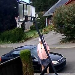 Basketball Hoop