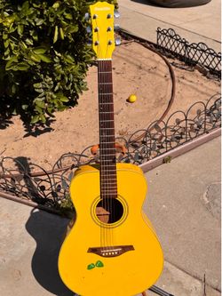 Sunlite Acoustic Guitar