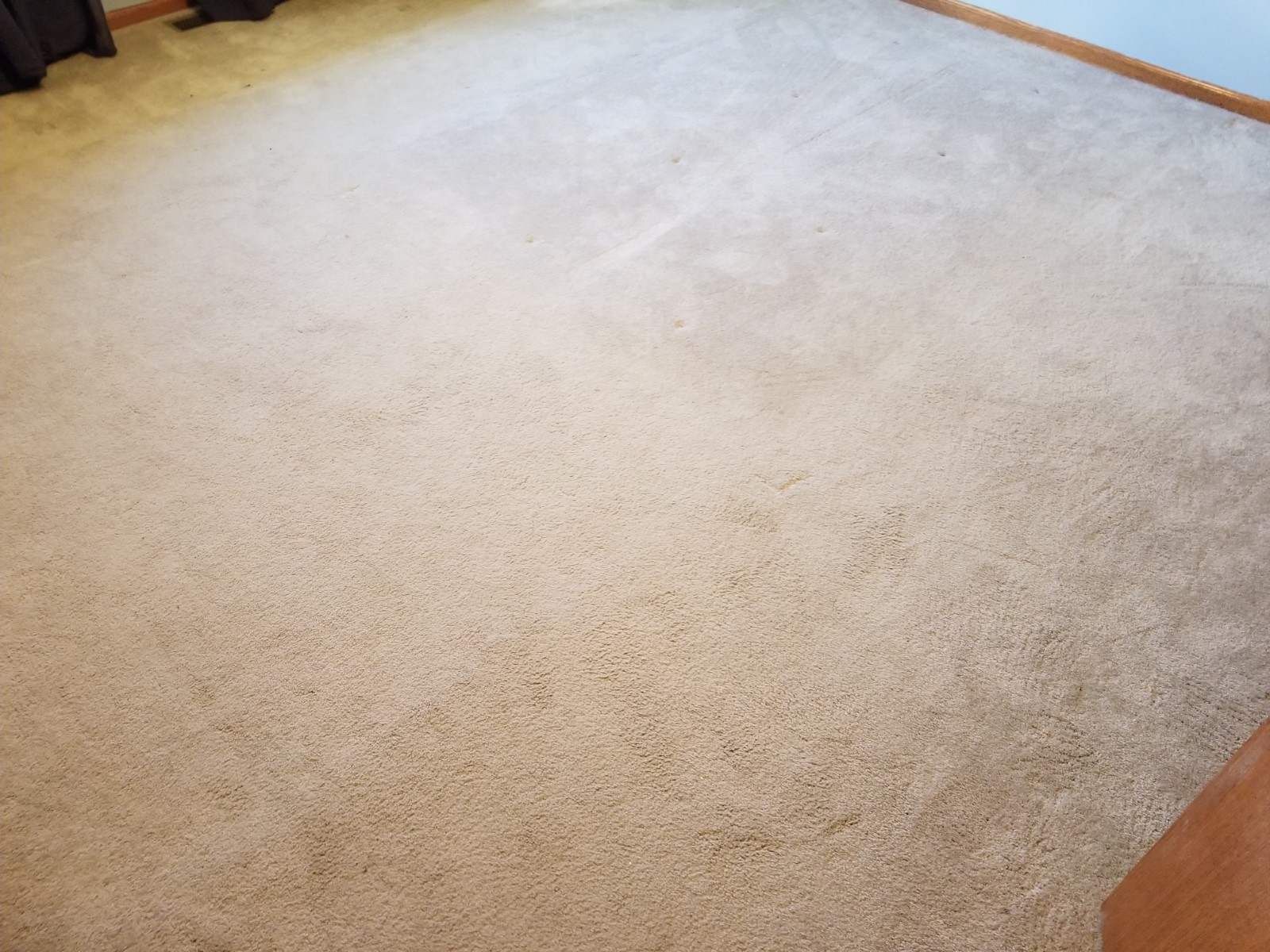 Free carpet