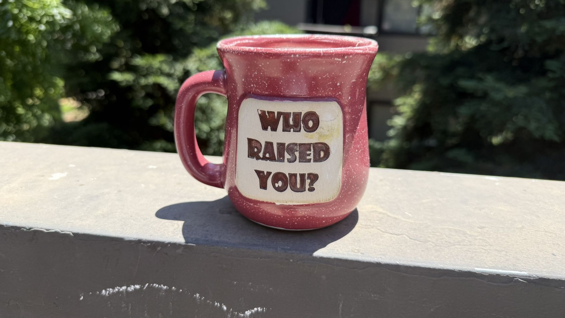 Who Raised You? Mug
