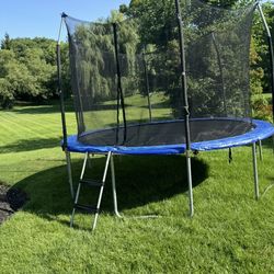 Free Trampoline 