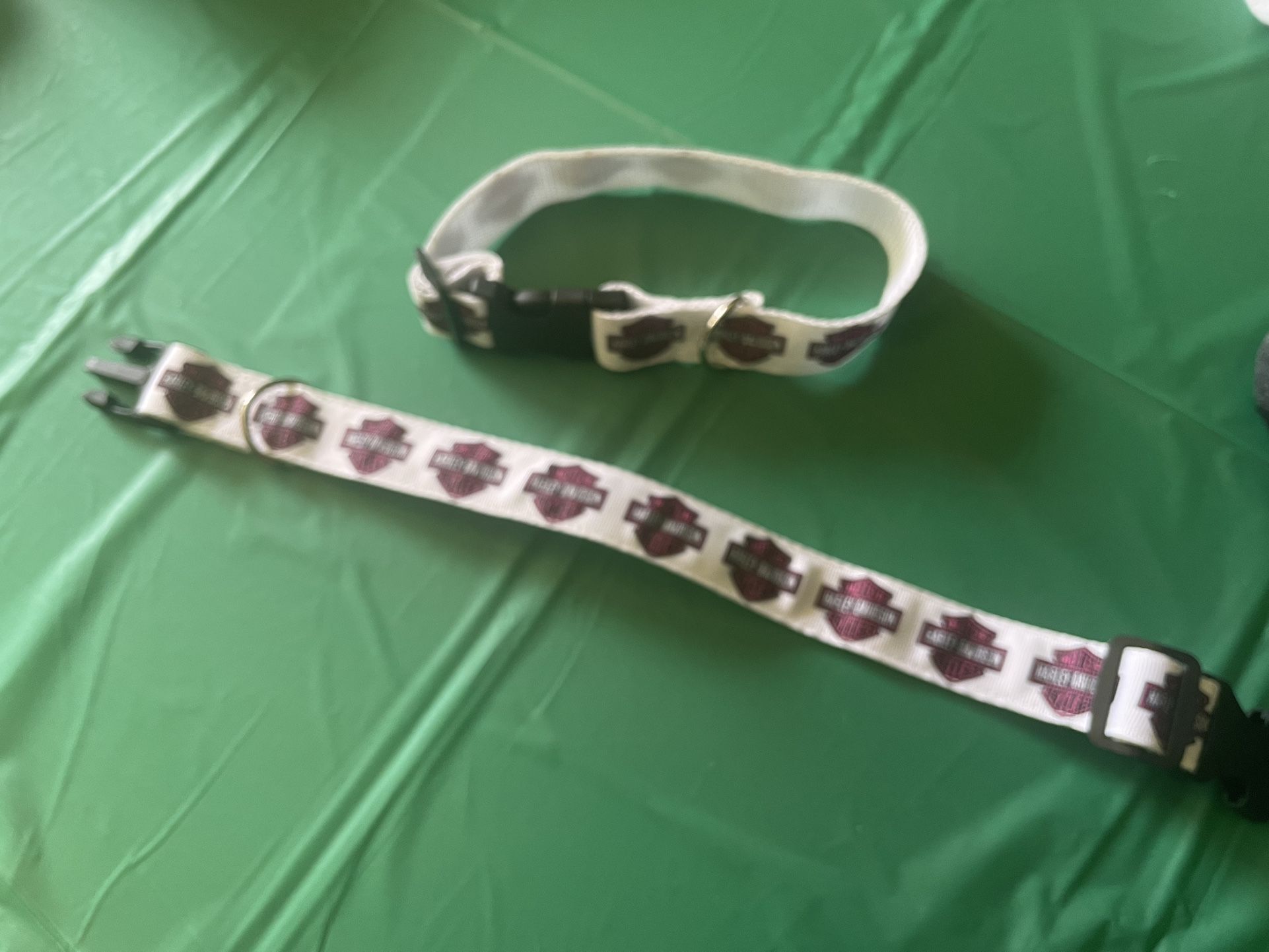 Harley Davidson Dog Cat Pet Collar