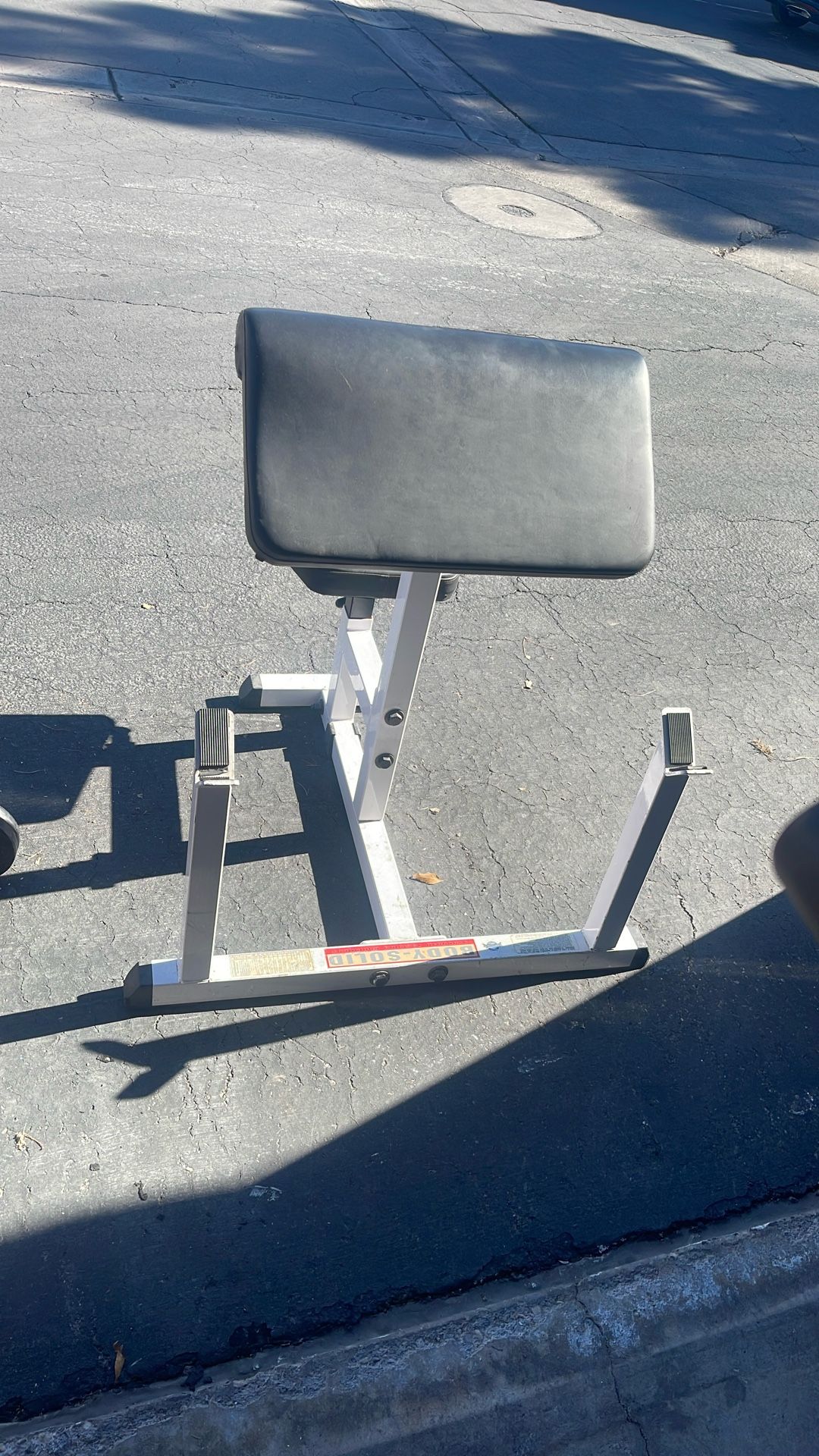 Seated Preacher Curl With Weight Rack