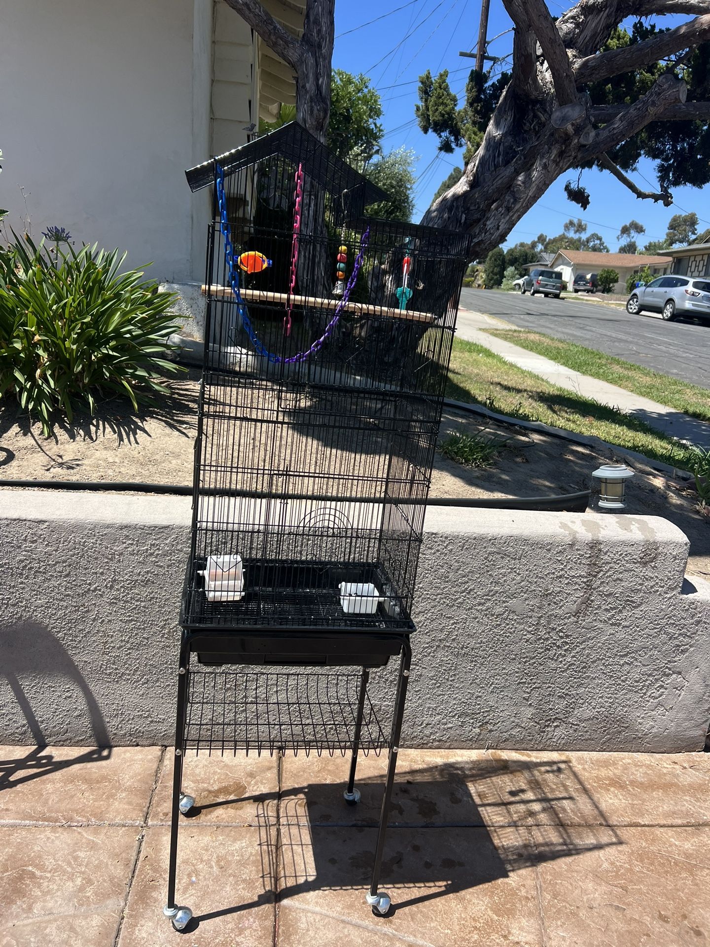 Bird Cage