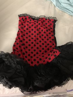 Reversible lady bug and bee costume