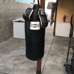 Punching Bag 