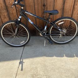 Raleigh Mojave 2.0 Bike