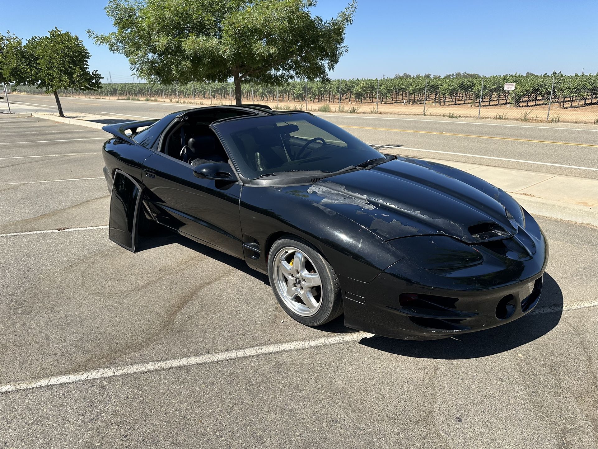 1997 Pontiac Firebird