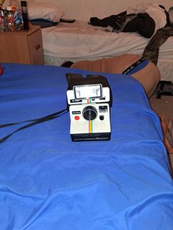 poloriod land camera