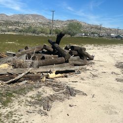 I Have Lots Of Telephone Poles Some Kind Som Short 