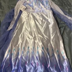 Elsa Costume 