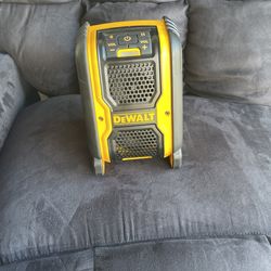 Dewalt Speaker
