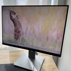 Dell Monitor 24” Monitor U2415