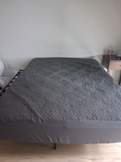 Queen Mattress (6 Months Old)