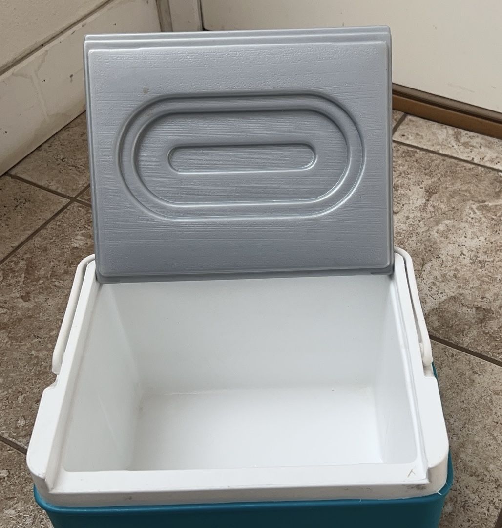 Cooler Great Condition L11W8H8 Inch Excellent Condition