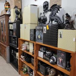 Dragons Will NOT Last Once Gone They Gone