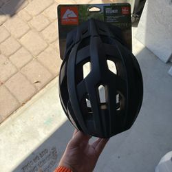 Adult Bike helmet (NEW)