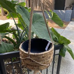 Plant Holders 