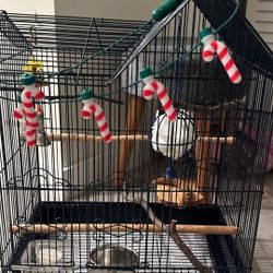 Bird Cage