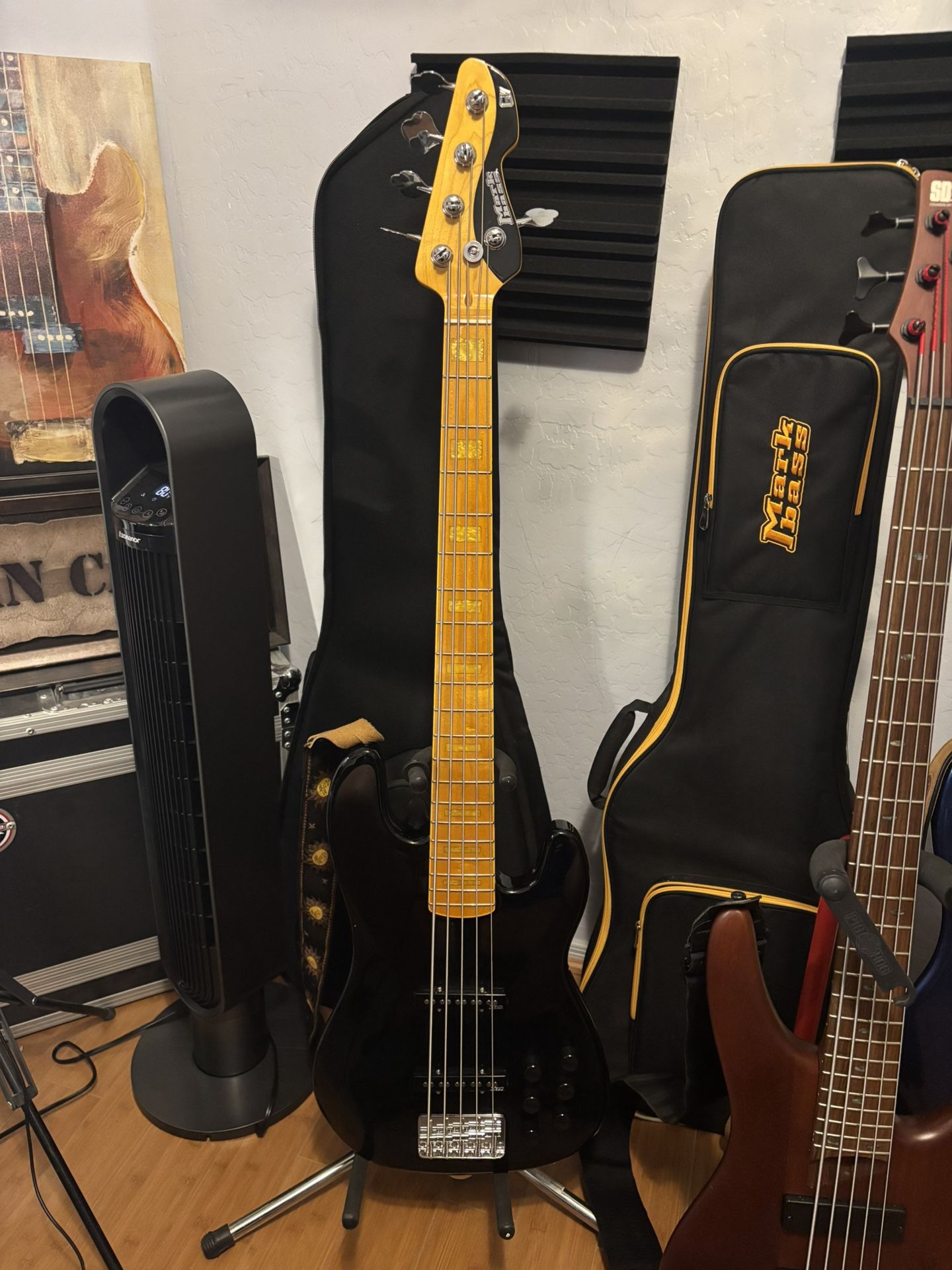 Markbass GV5 Bass Guitar (New)