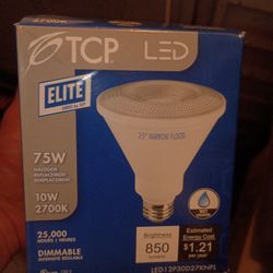 Indoor/Outdoor Dimable Light Bulb