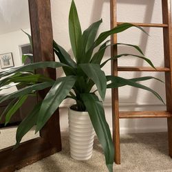 Faux Plant Decor