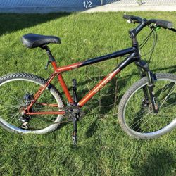 19 Inch Gary Fisher Mountain Bike