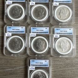 (7) MS66 Morgan Silver Dollars