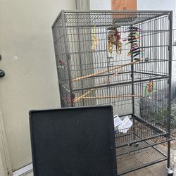 Metal Bird Cage 
