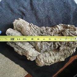 Reptile Hideout 