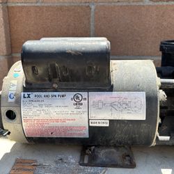 Pool And spa pump