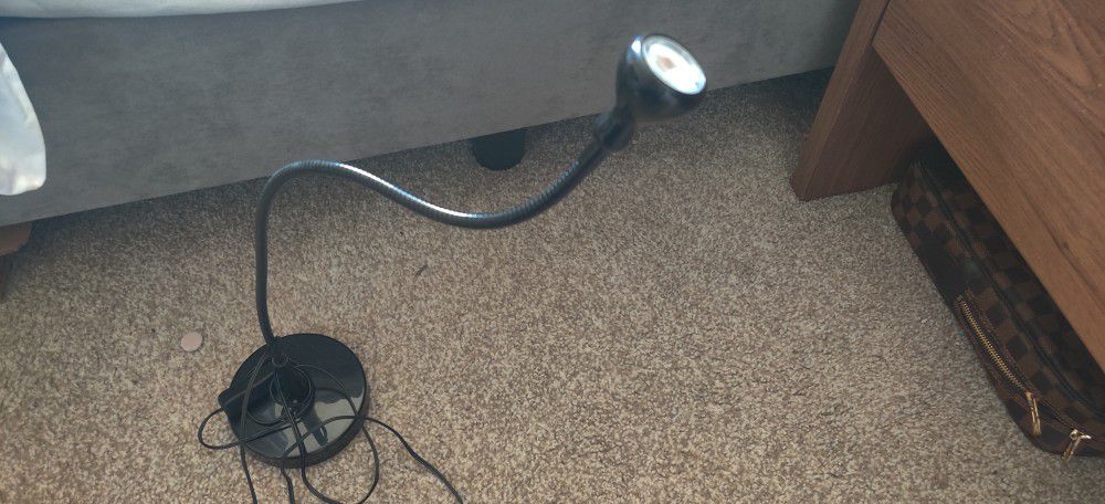 LED Snake Lamp For Desk/Nightstand