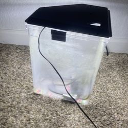 Fish tank