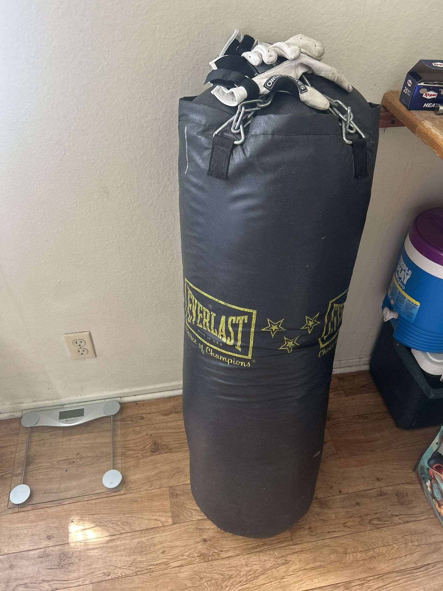 Everlast USA Punching Bag
