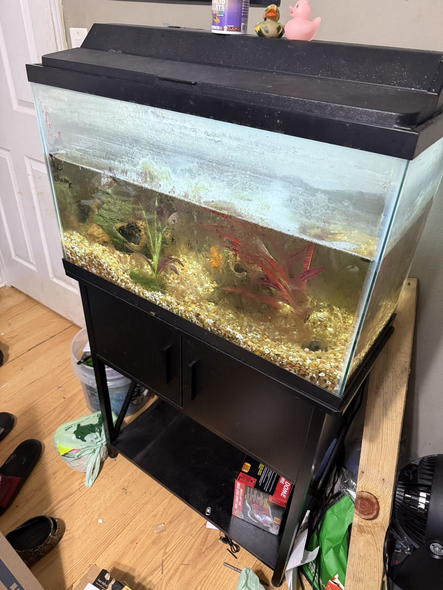 Tank With Stand