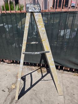 5 foot Aluminum Ladder