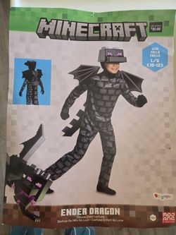 Minecraft halloween costume...age 10-11 boys