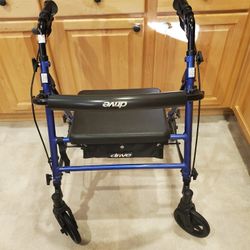 Mobility Walker