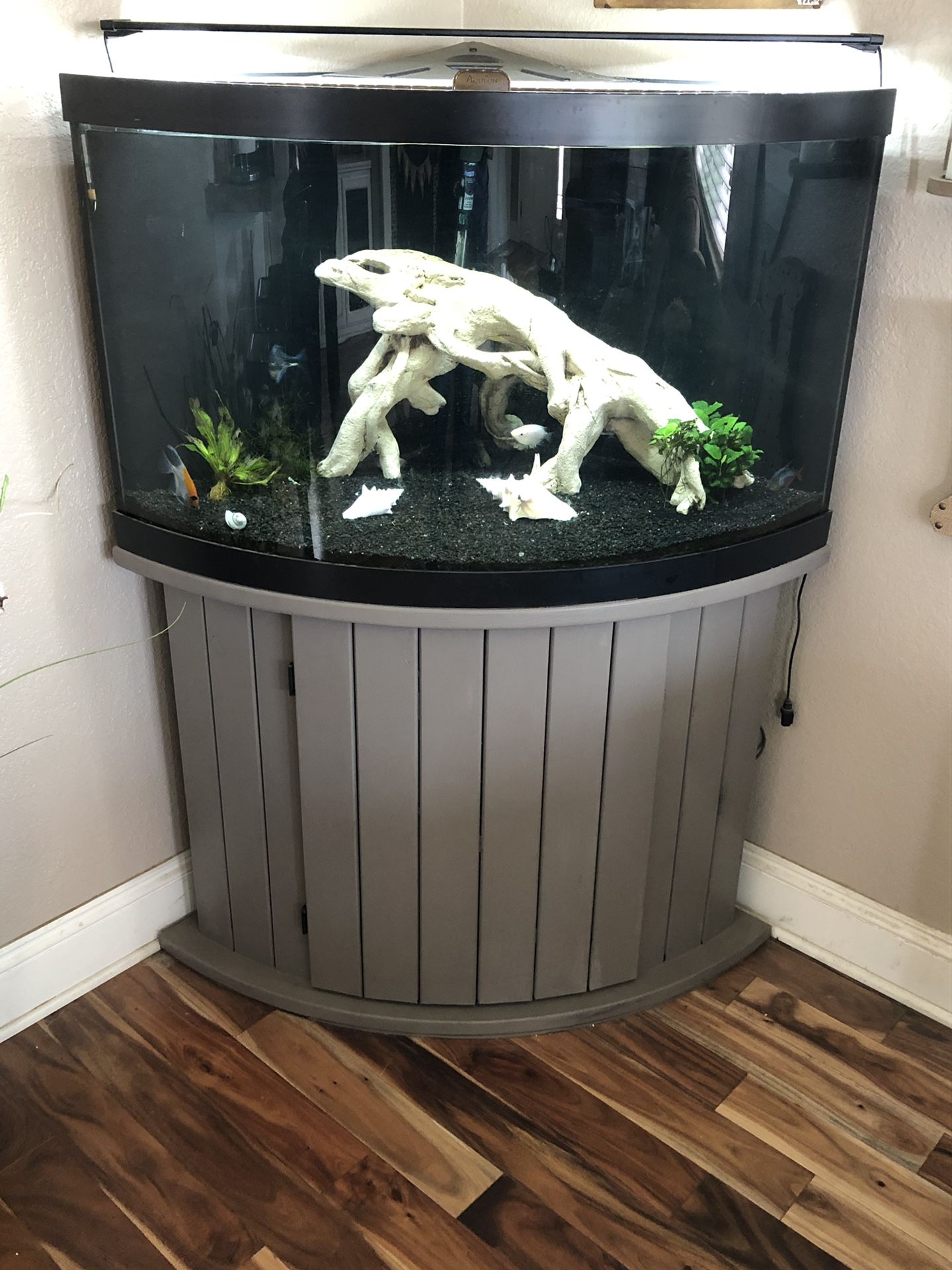 Aqueon 54 gallon fish tank and stand