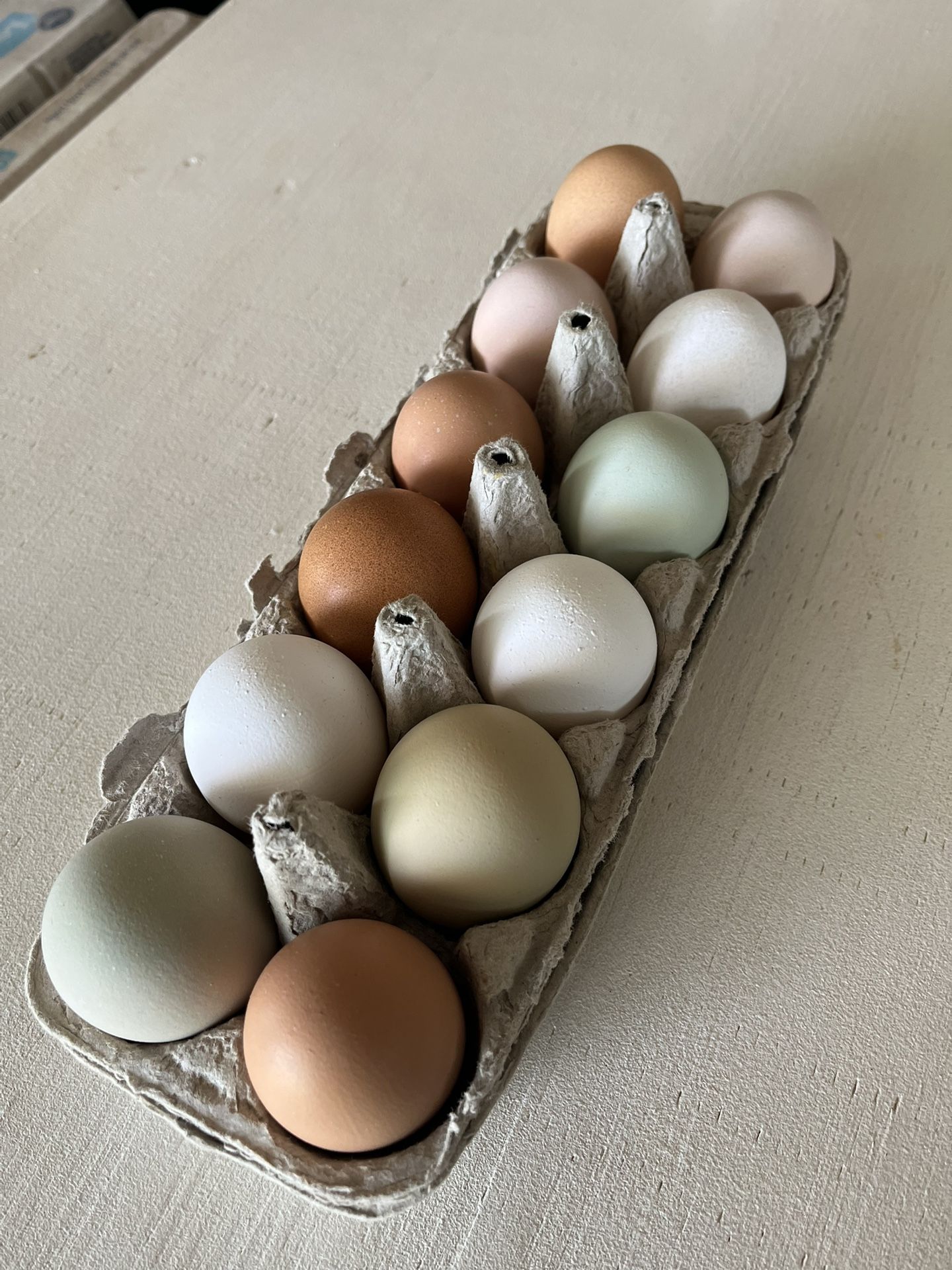 Fresh Free-Range Organic eggs from our Farm.