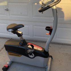 Schwann 126 Upright Exercise Bike