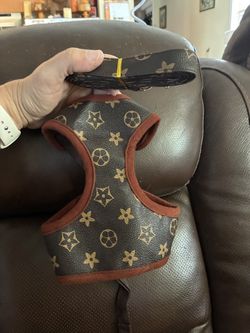 Designer Harness And Matching Leash