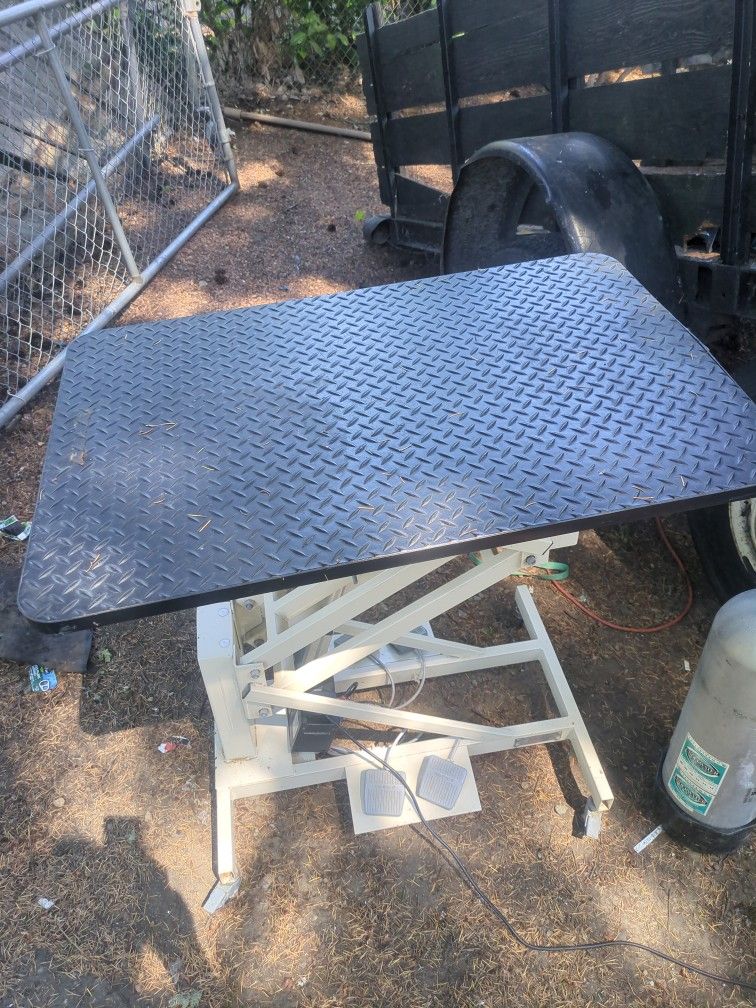 Grooming Table