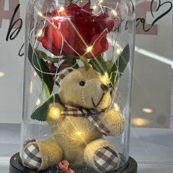 Teddy And Rose Glass Dome Lights Up