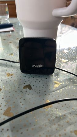 Waggle temperature monitor for car