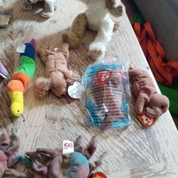 Beanie Baby Collection