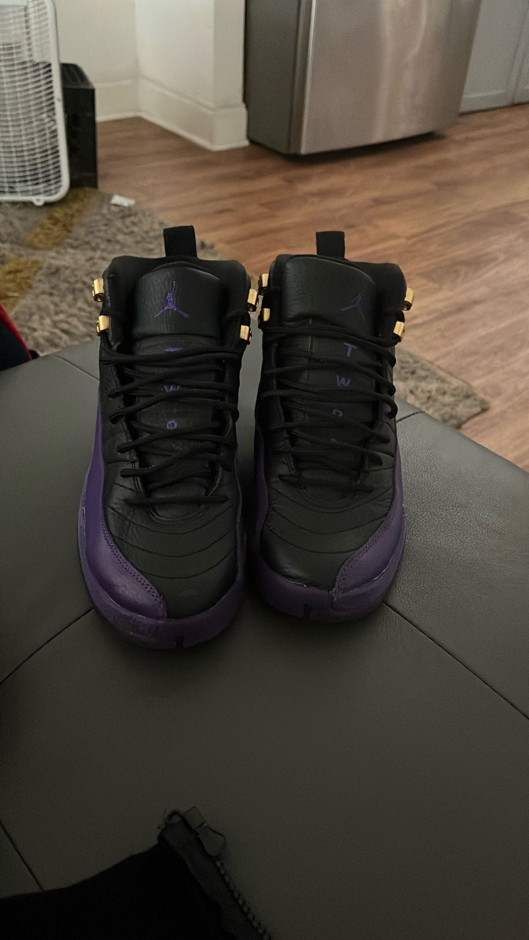 Jordan 12s