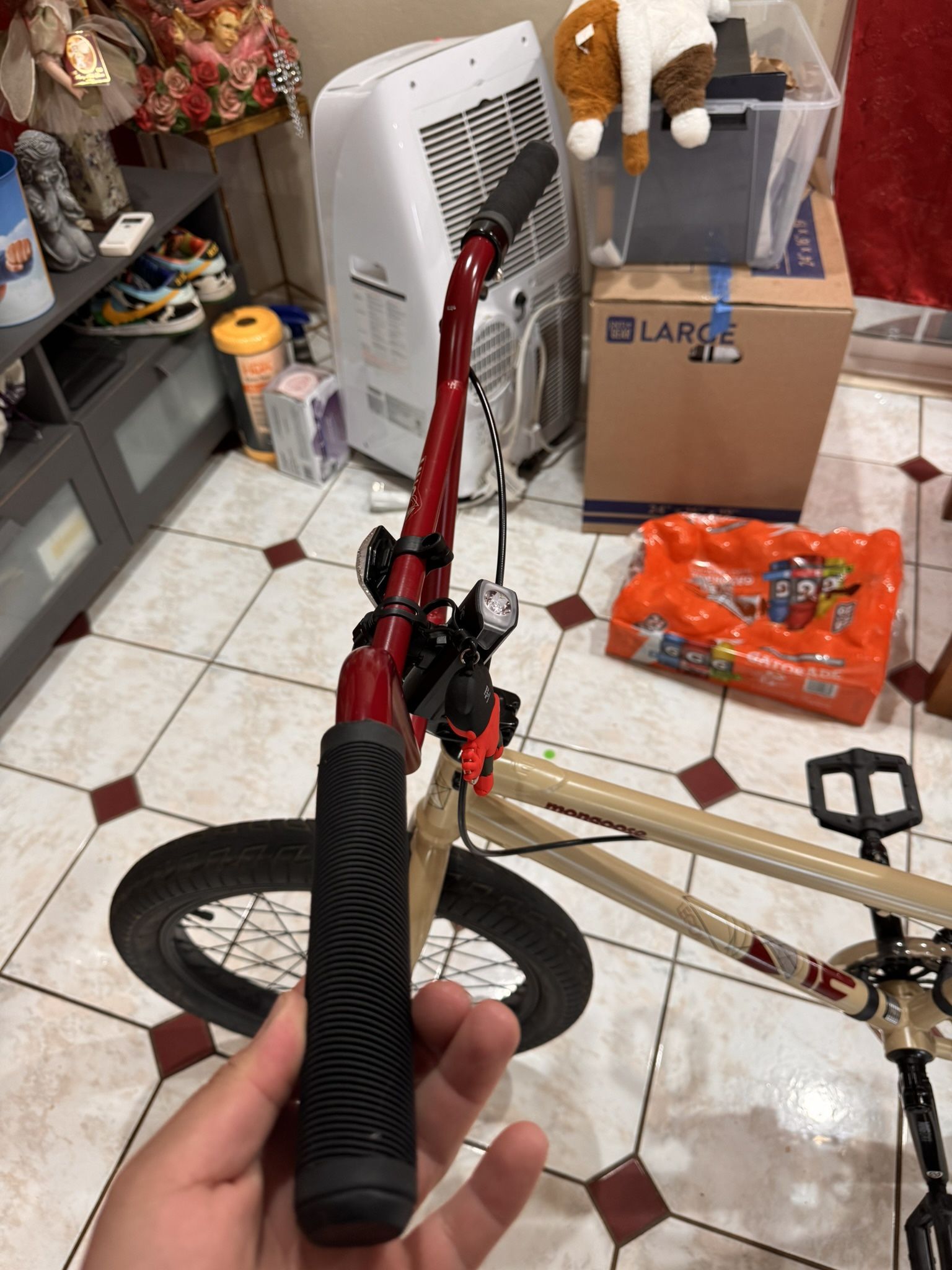 Mongoose Bmx Bike