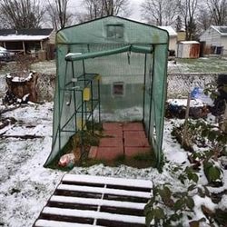 Outdoor Green House
